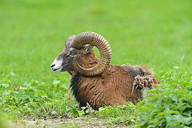 《黑袍纠察队：劣迹》最新预告 3月4日上线